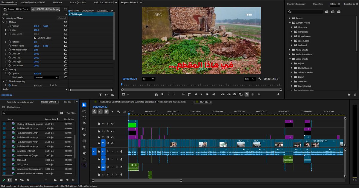 تايفو-tayfo• tweet media