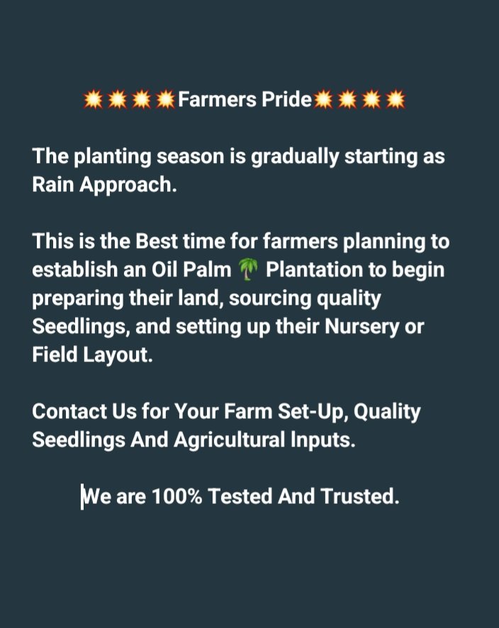 MrIntegrity00's tweet photo. 💥💥💥Farmers Pride💥💥💥

The planting season is gradually starting as Rain Approach. 

Contact Us for Your Farm Set-Up, Quality Seedlings And Agricultural lnputs.

We are 100% Tested And Trusted. https://t.co/Tl4NXSQ9HM