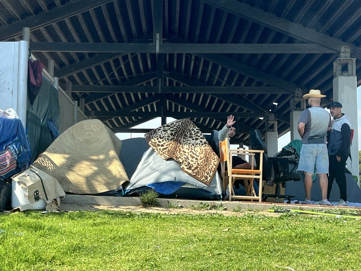 Professor Ehrbar 🦇🏴 tweet media