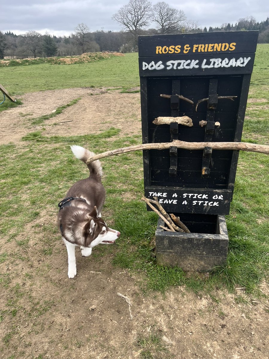 BoneScruffy tweet media