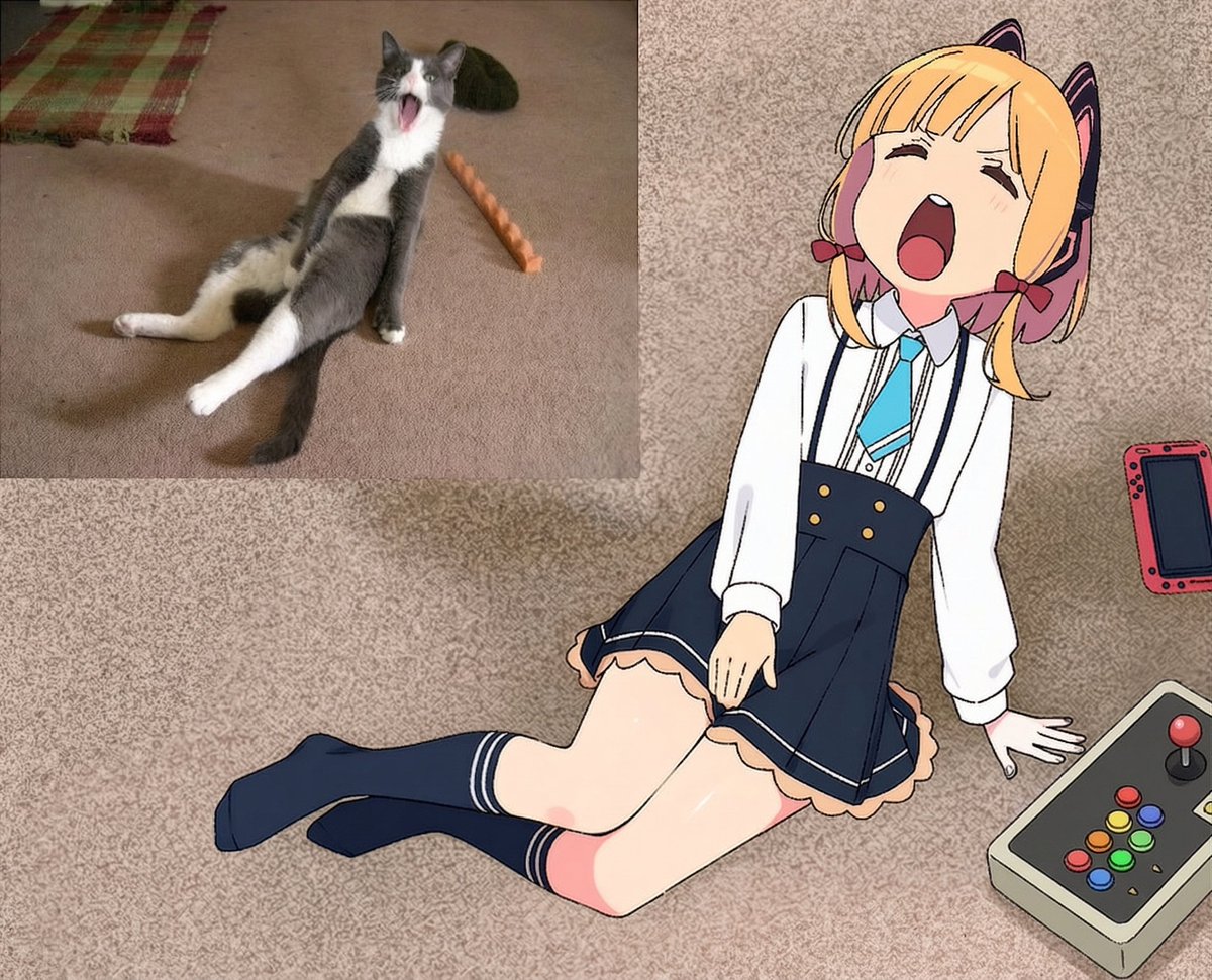 ぽんこつ tweet media