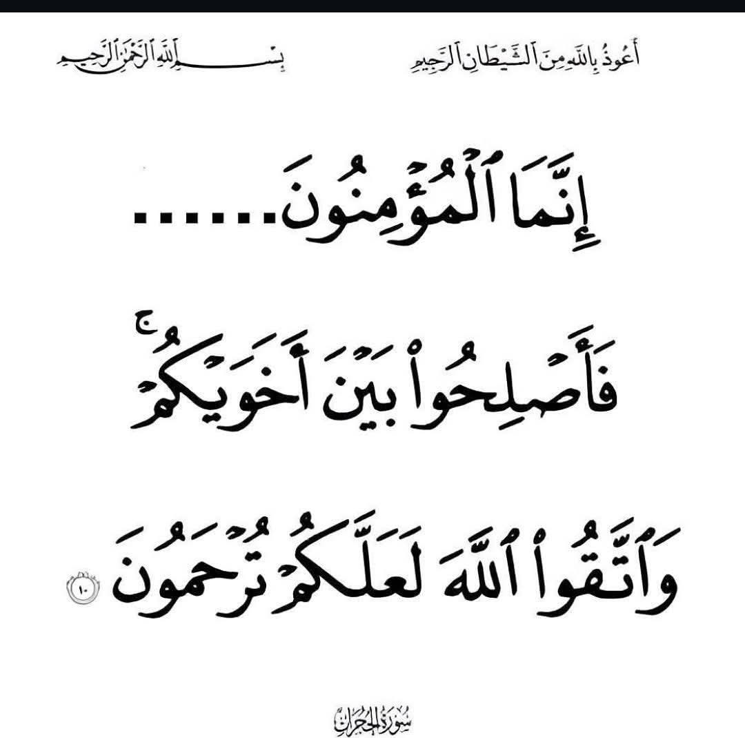 سلمى نور tweet media