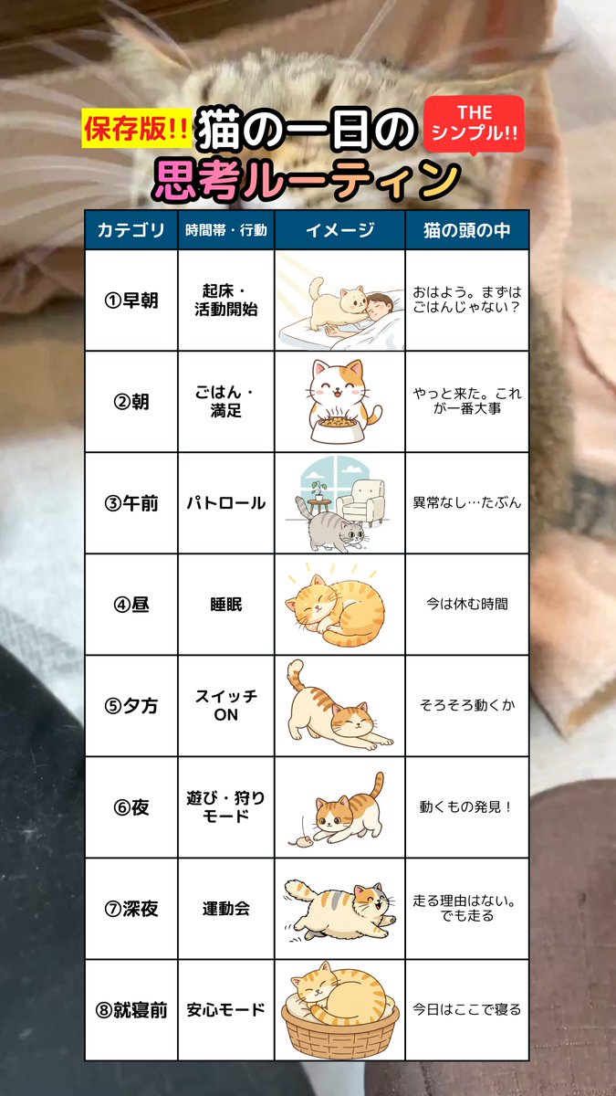 にゃんゼミ with 保護猫 ❤️ tweet media