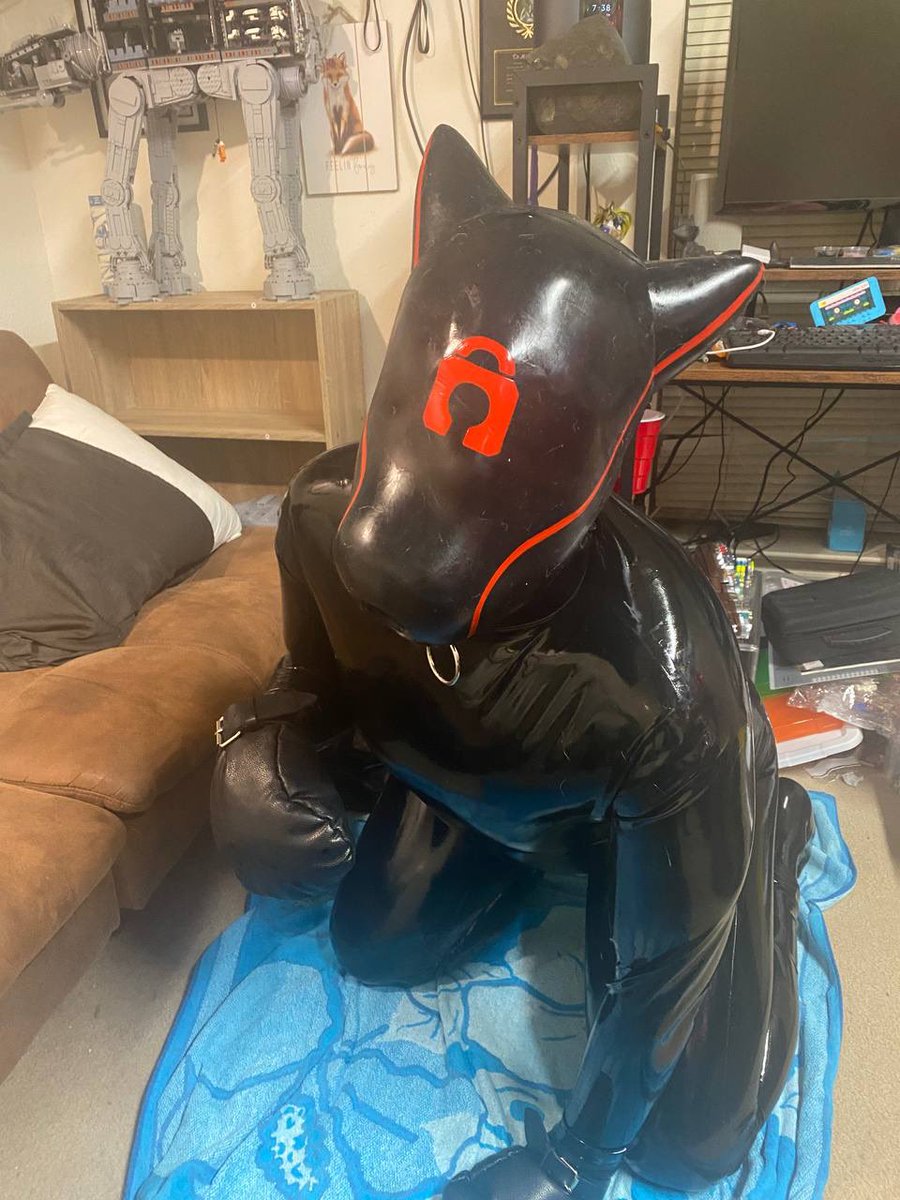 Princess PoPoZo the Husky tweet media