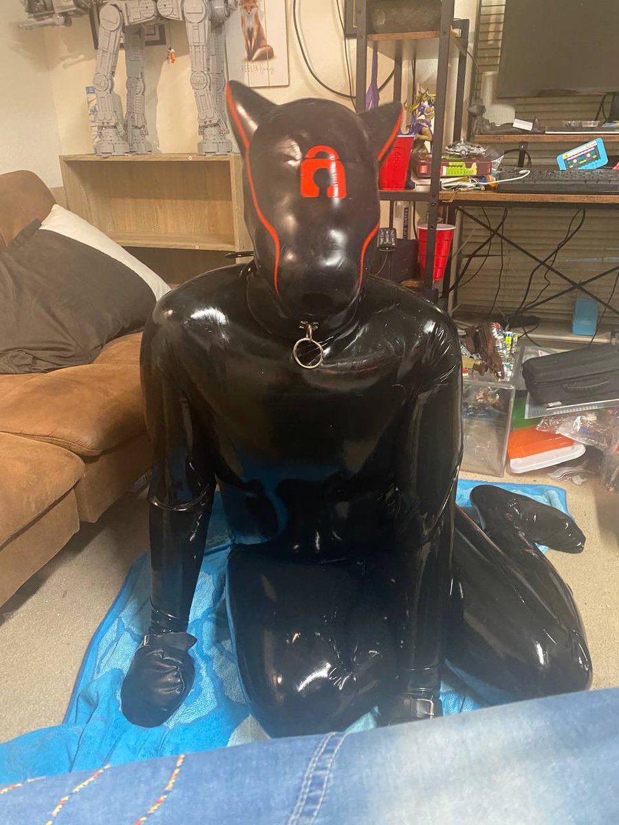 Princess PoPoZo the Husky tweet media