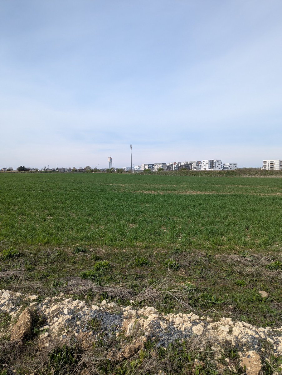 🇨🇵🌈 Maxime tweet media