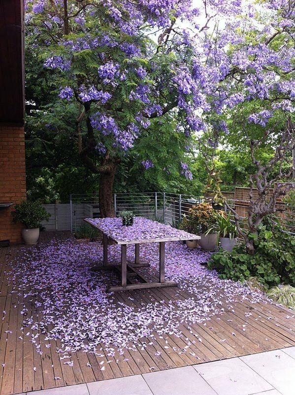 W a v e s (@thewavesx) on Twitter photo 