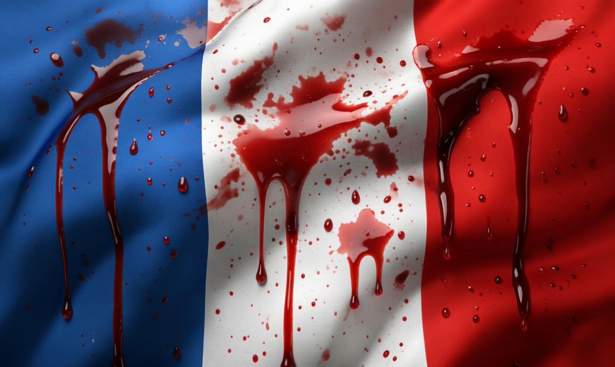 Guillaume Herblot 🎖️ tweet media