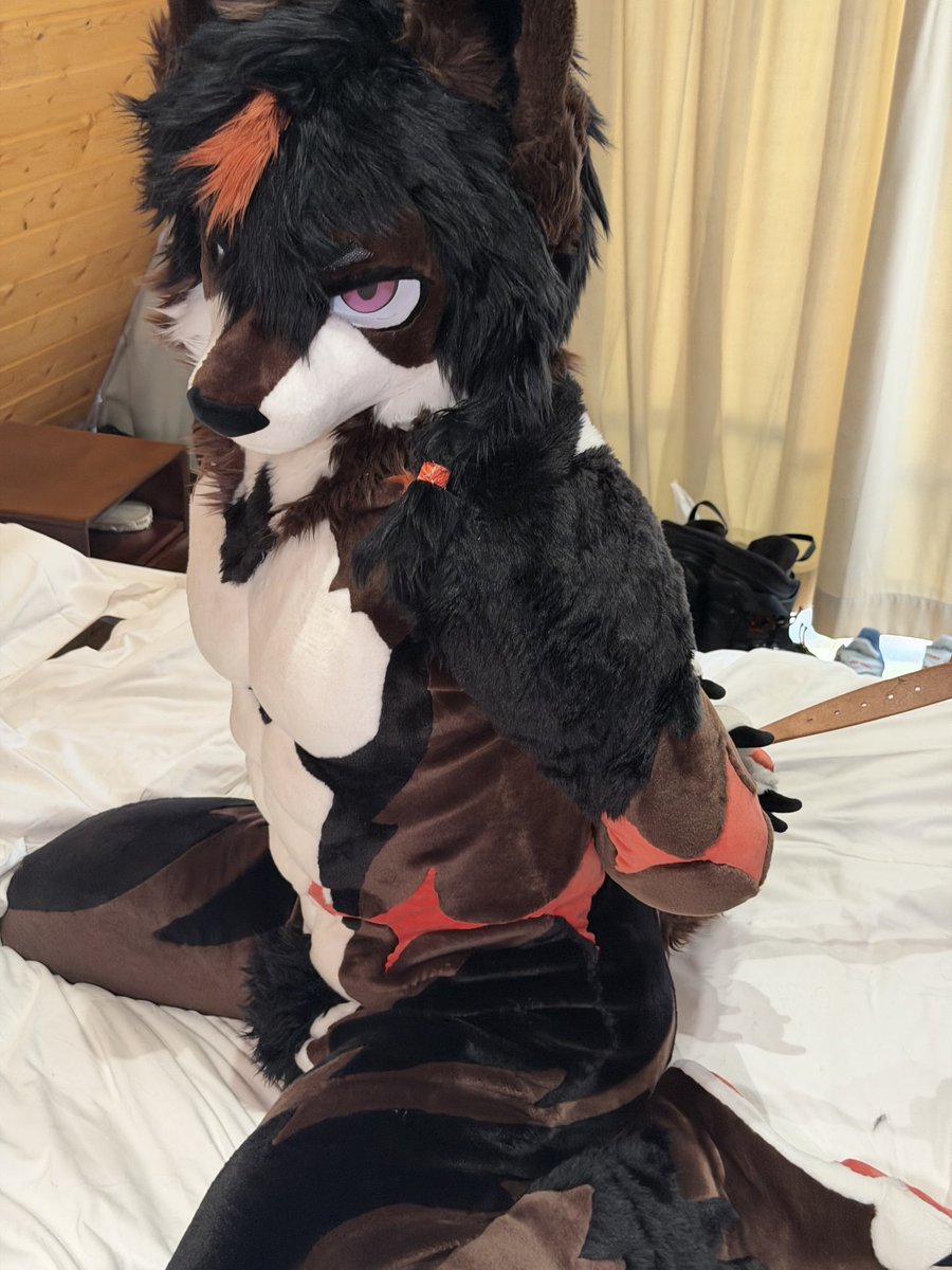 Spring泉 tweet media