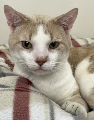 MyRye.com tweet media