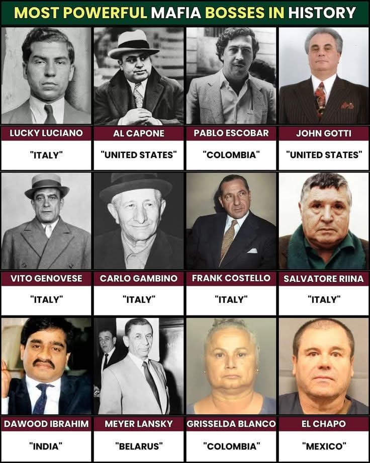 TOUSSAINTS RETURN tweet media