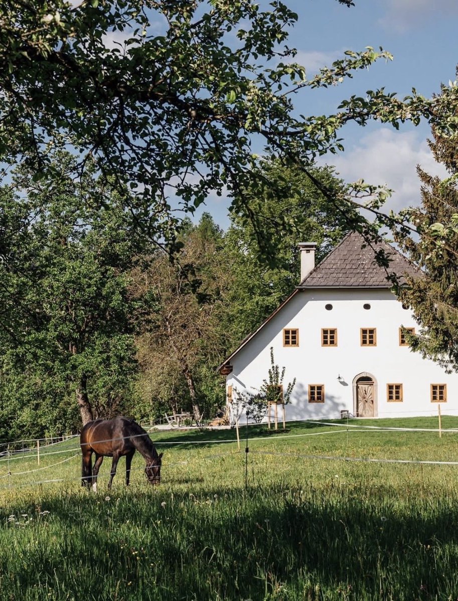 Henry Cameron tweet media