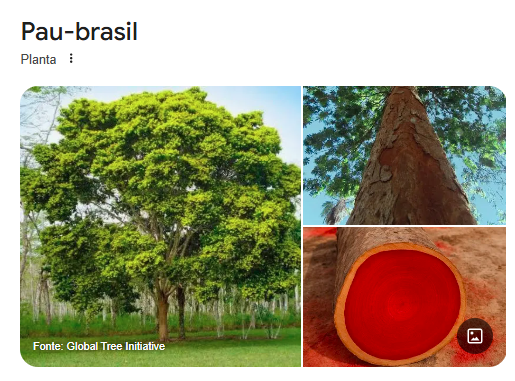 Maurício Pierre 🇮🇹🇧🇷✝️⚖️ tweet media