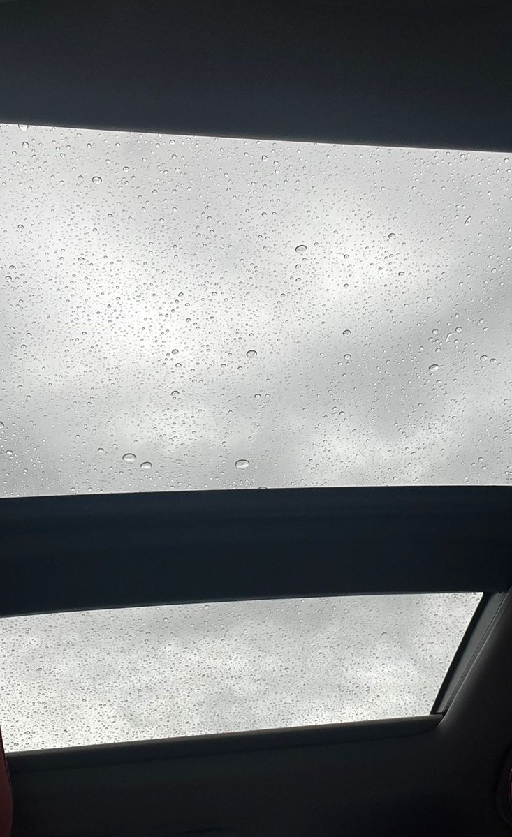 زهـــــــرة🌸. tweet media