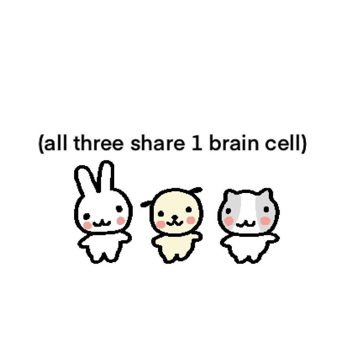 cas 𓆩♡𓆪 tweet media