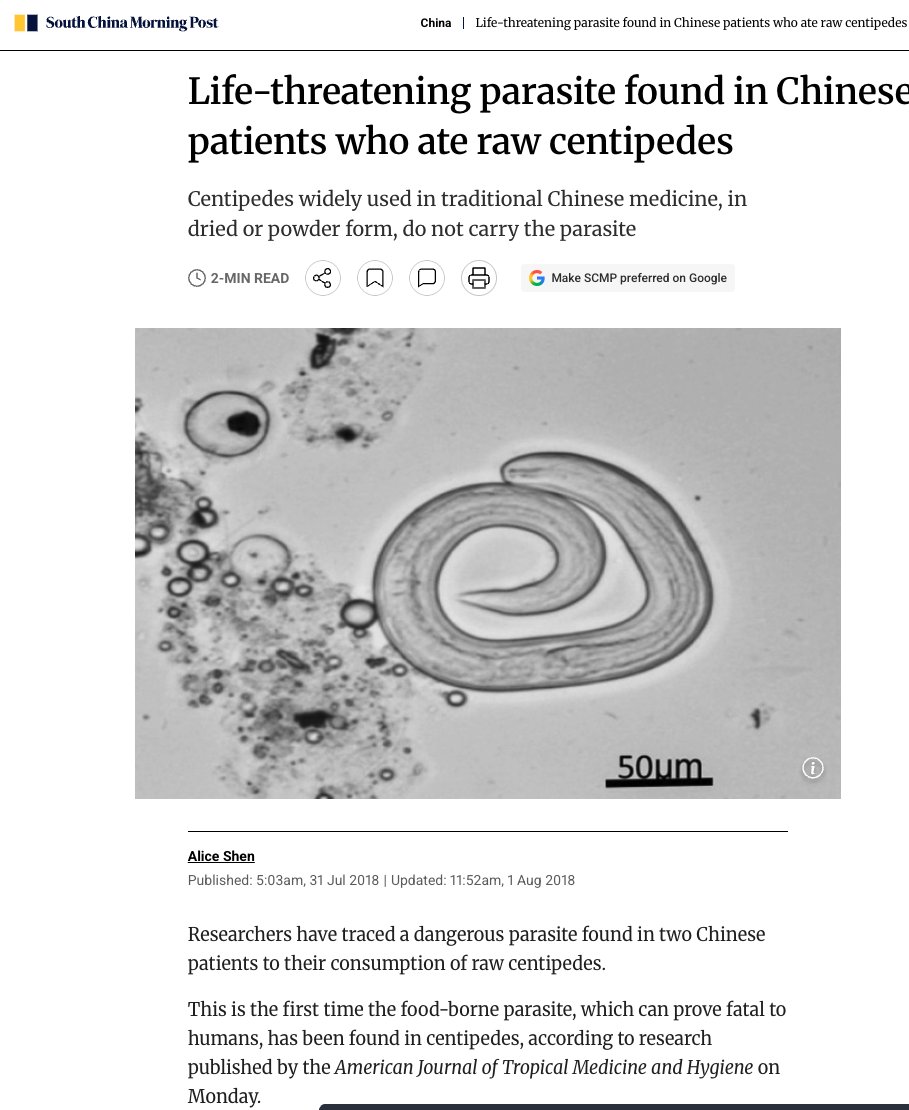 Pseudo Prophet tweet media