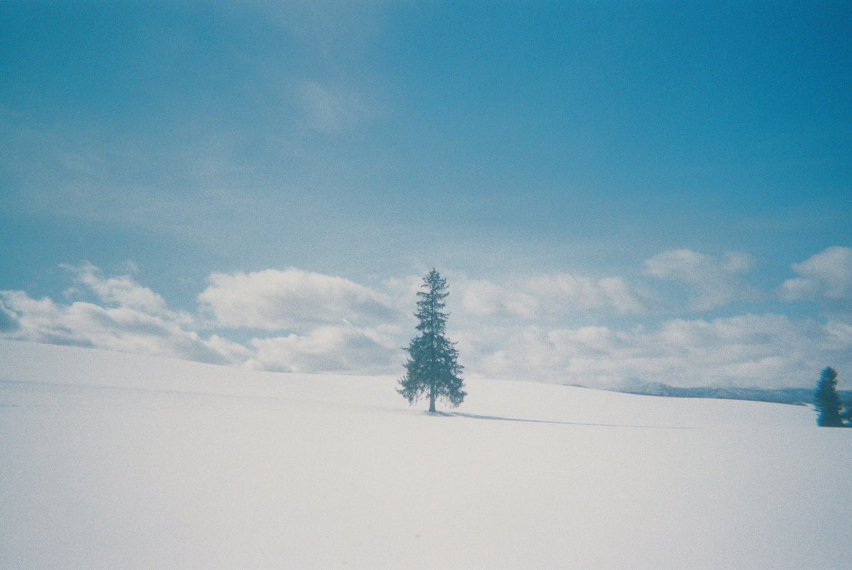 이사벨 tweet media