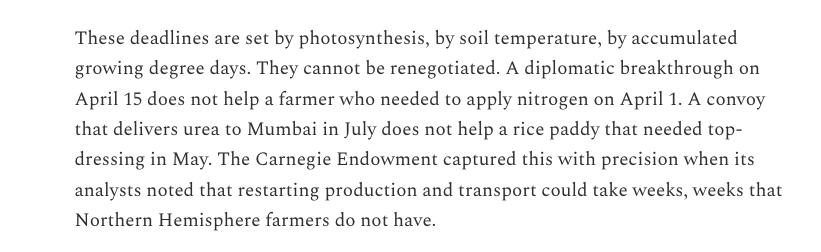 Noah Gordon tweet media