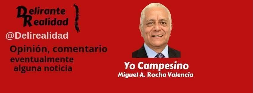 deliranterealidad tweet media