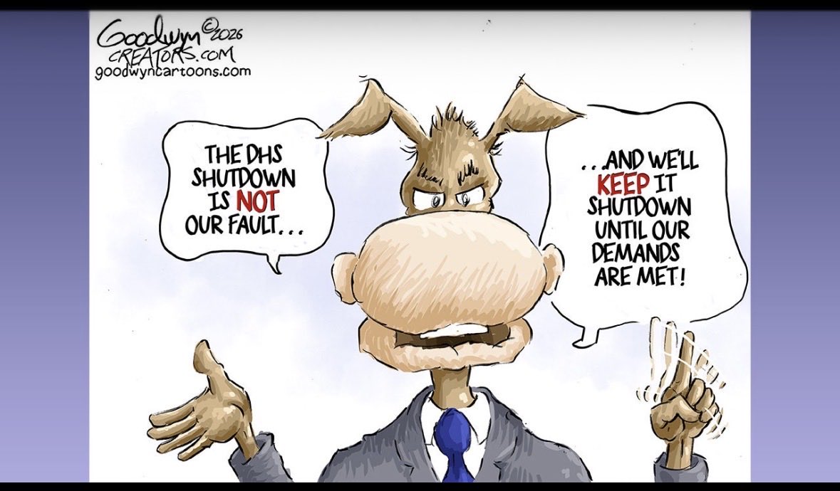 Stan Llevihs tweet media