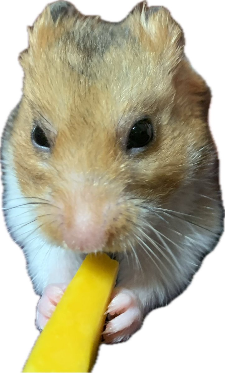 rika@某ソシャゲの騎空団 元 団長 tweet media