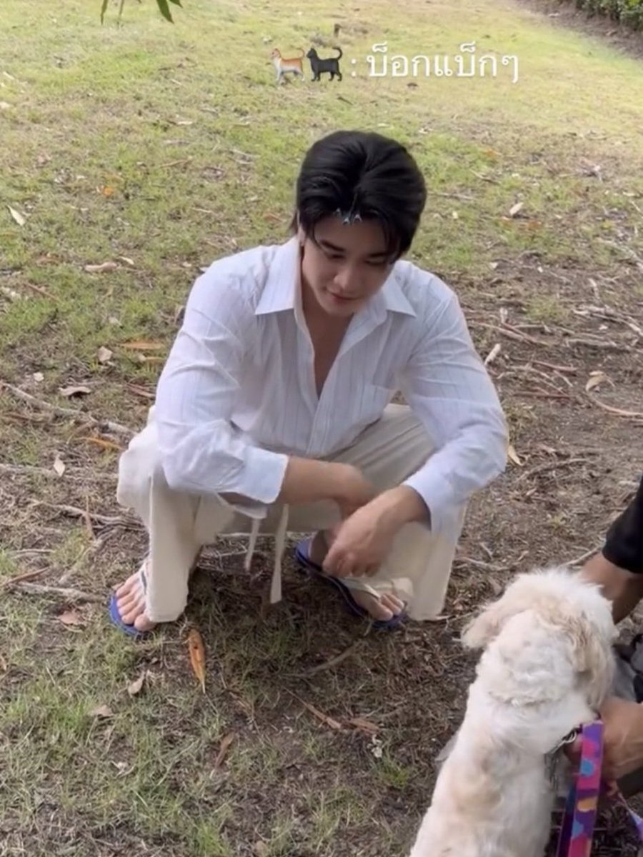 ━ 𝙨𝙨𝙞𝙞 ⋆·˚｡✴︎ *ₑᵤᵣₒₚₕₒᵣᵢᴄ୨୧˚ tweet media