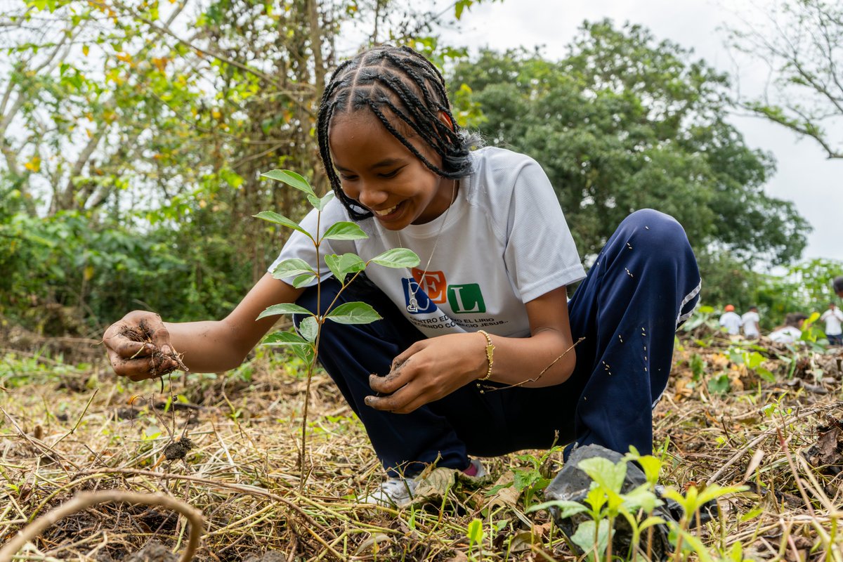 Ministerio de Medio Ambiente RD tweet media