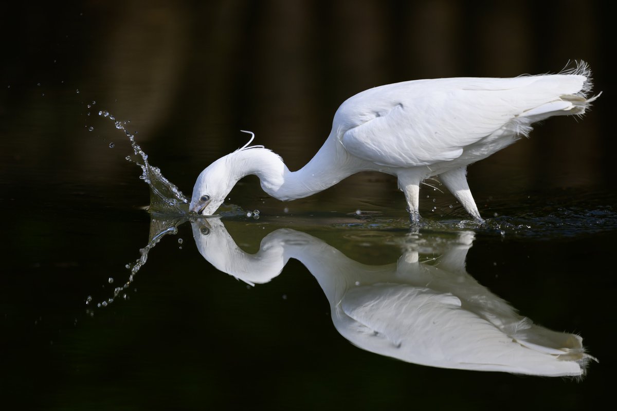 ららら♪📸🕊𓂃𓂂𓏸♡ tweet media