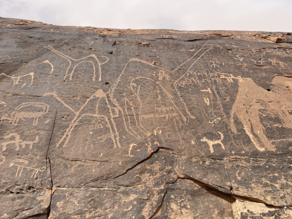 やまもと tweet media