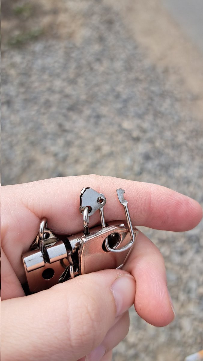 Ельфінві tweet media