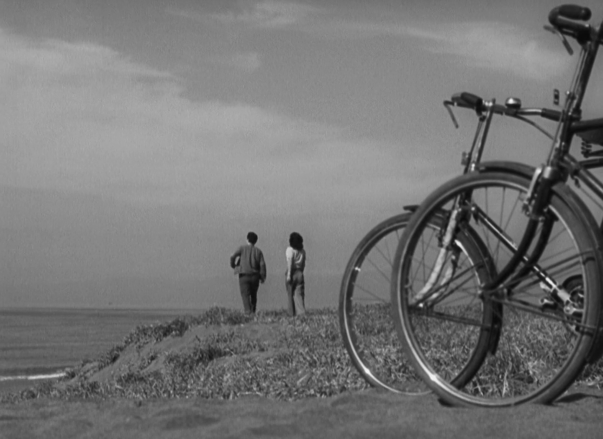 carlos🇵🇸 tweet media