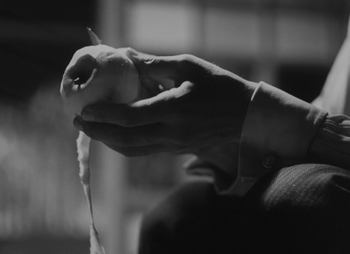 carlos🇵🇸 tweet media