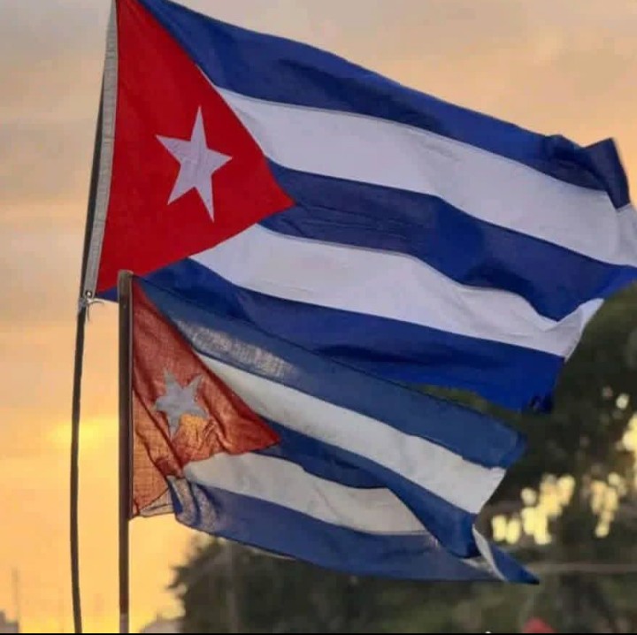 Odalys Perdomo Perez tweet media