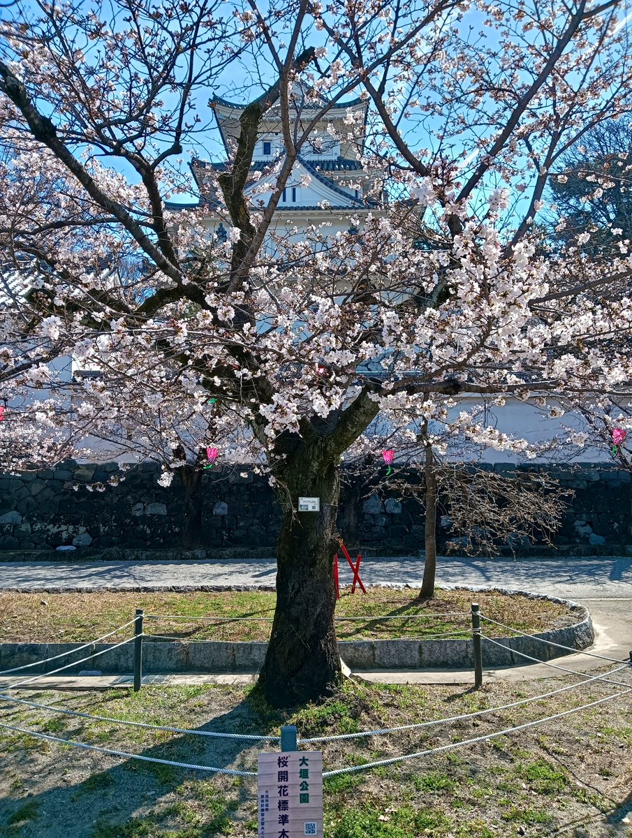 お お が き (仮) お い で よ ⛲ tweet media