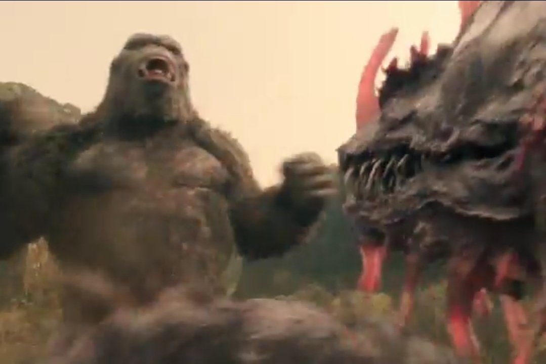 gorillageek27 (ape fan) tweet media