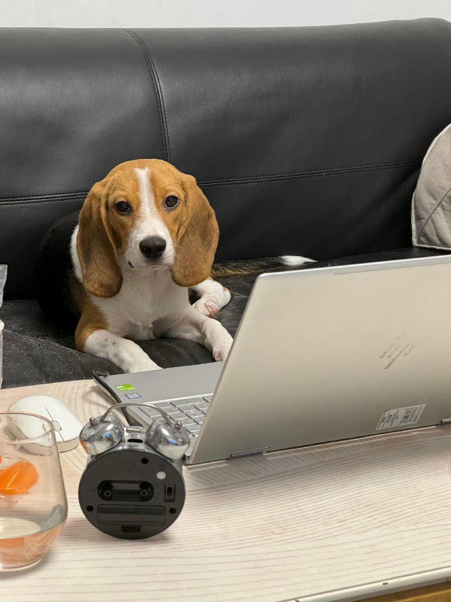 Omar Mohamed tweet media