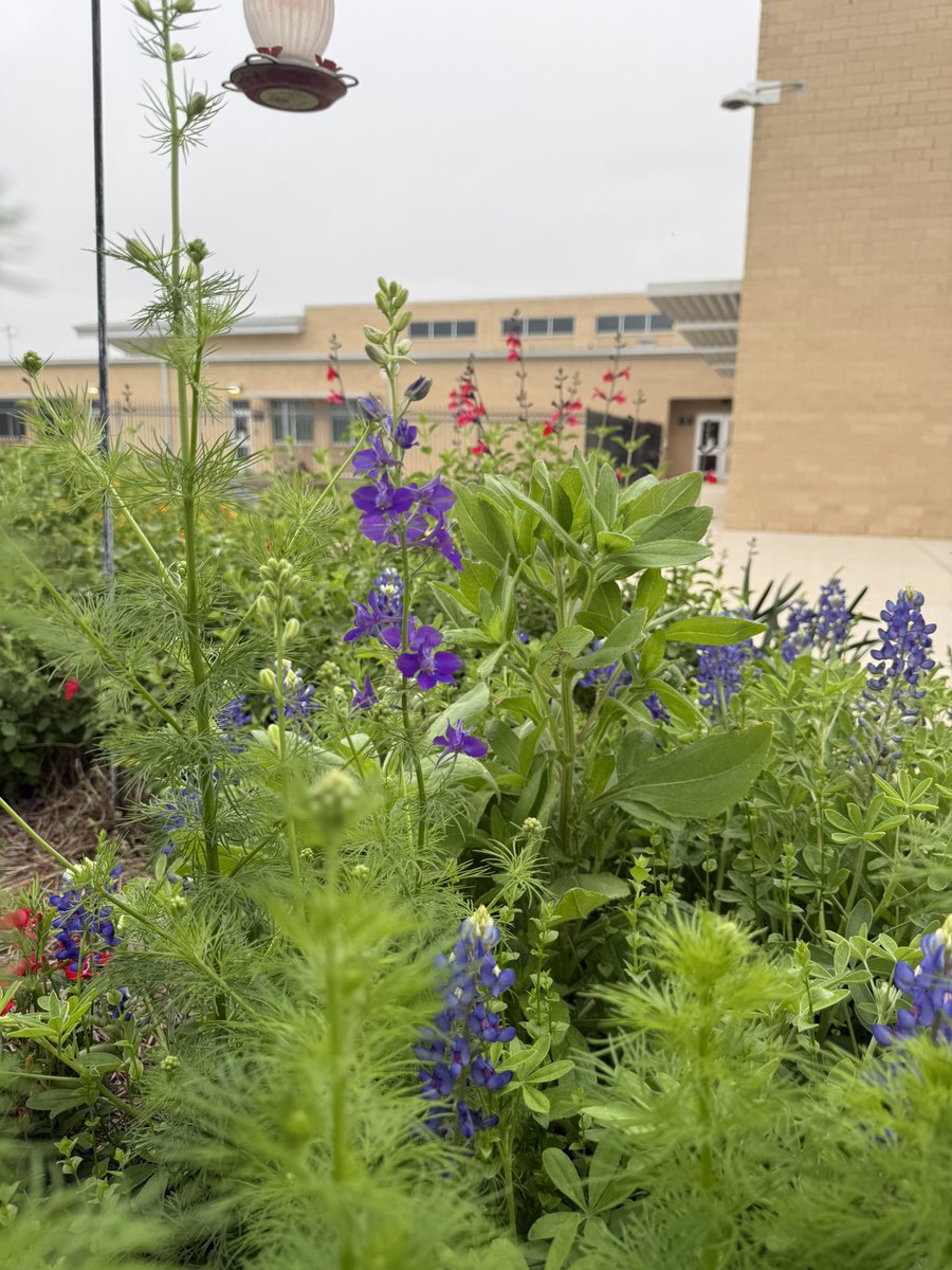 Kara Wolf tweet media