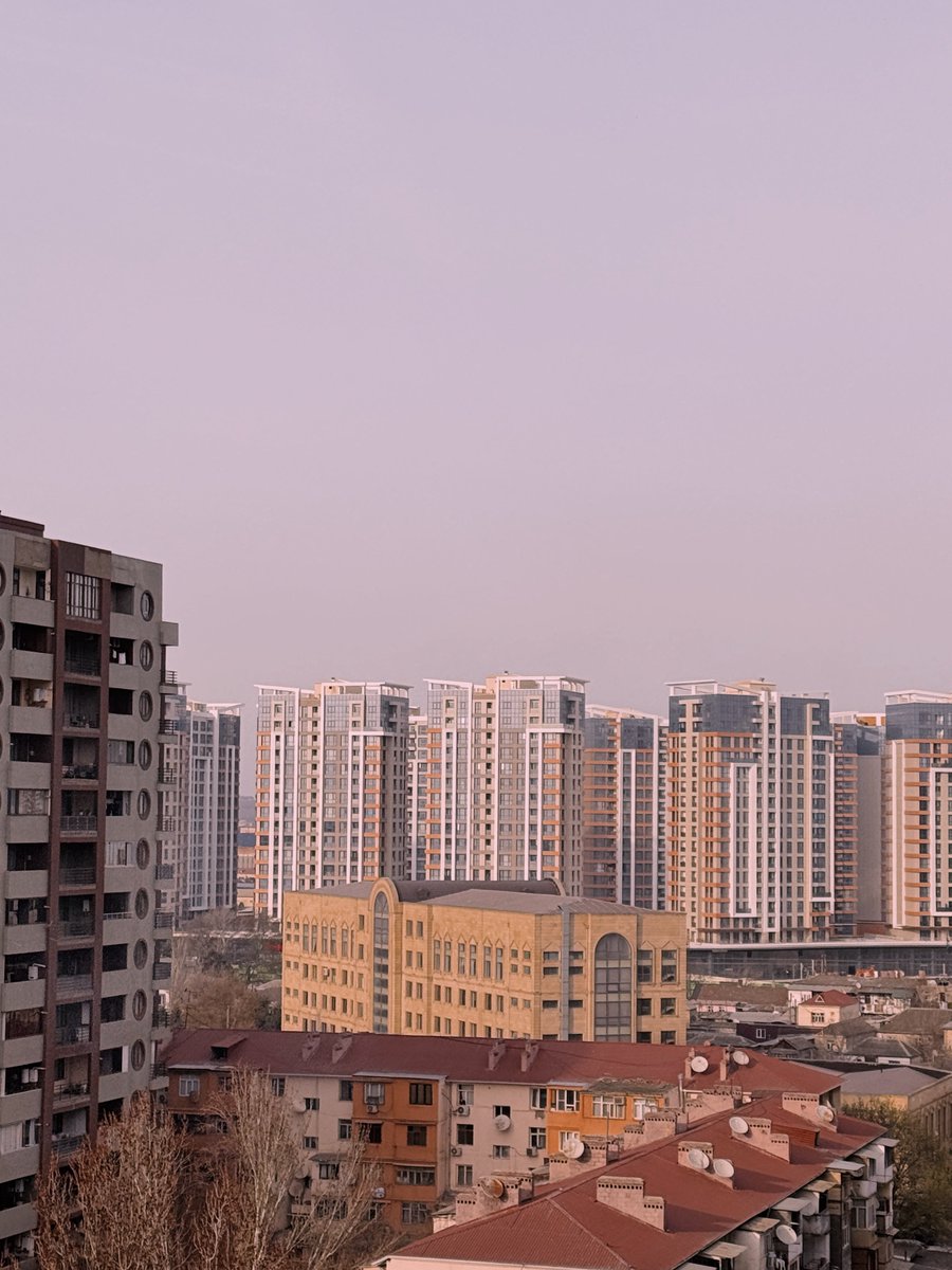 Der Optimist tweet media