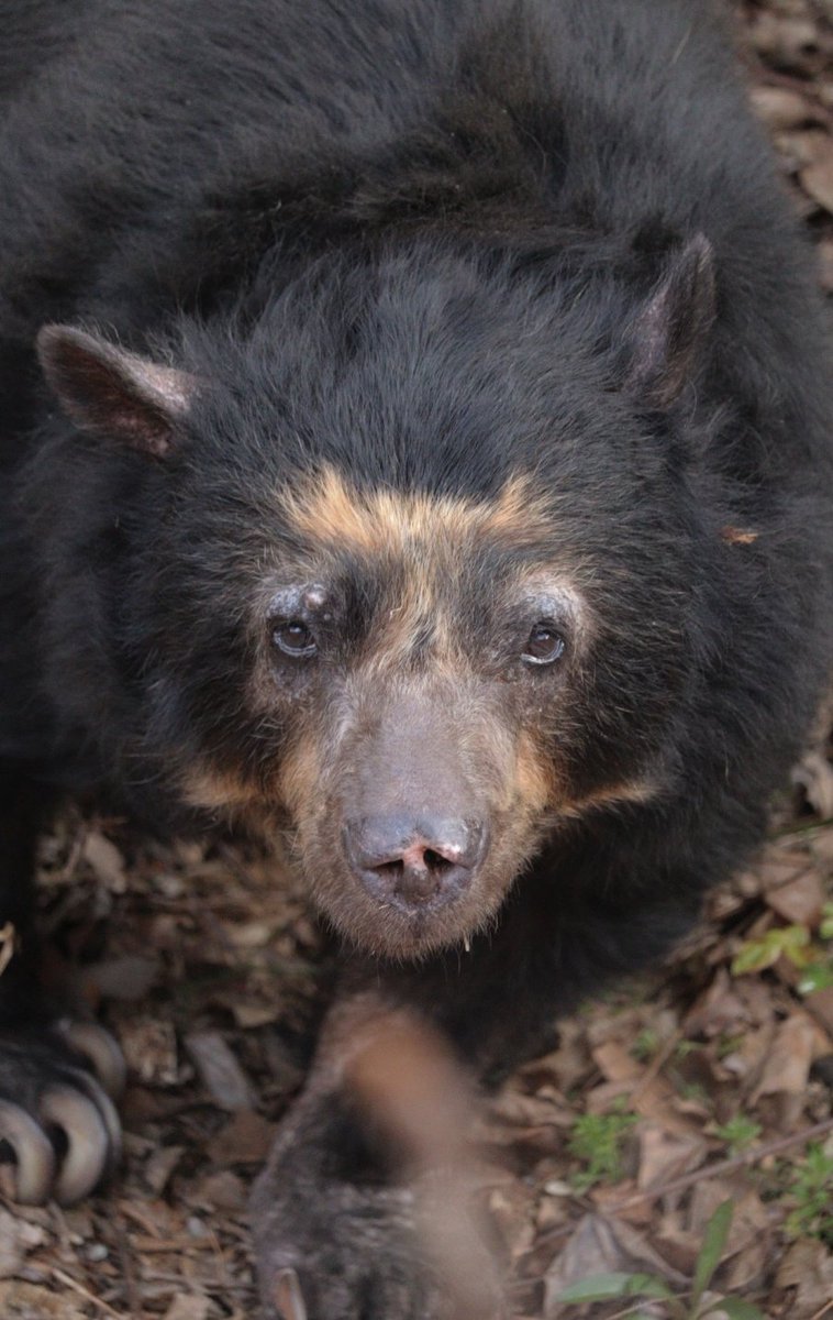 ♡ERI♡ tweet media