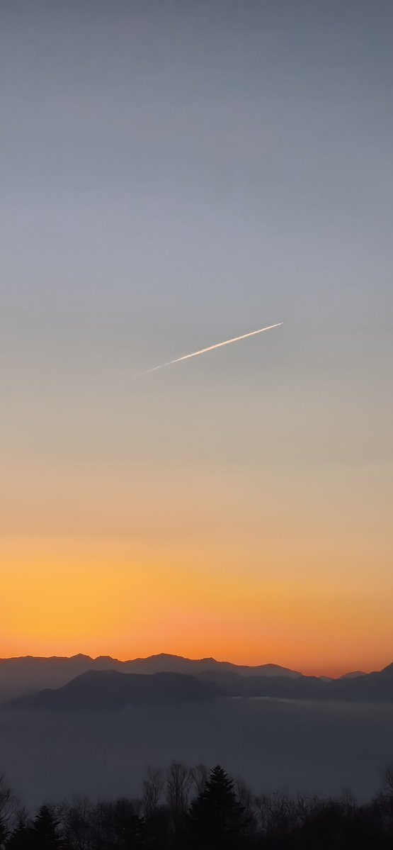 がっちゃ🇯🇵🇳🇿🇦🇺 tweet media