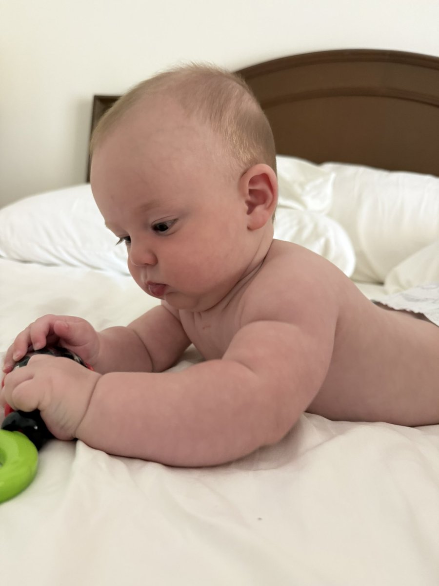 ניצוּר tweet media