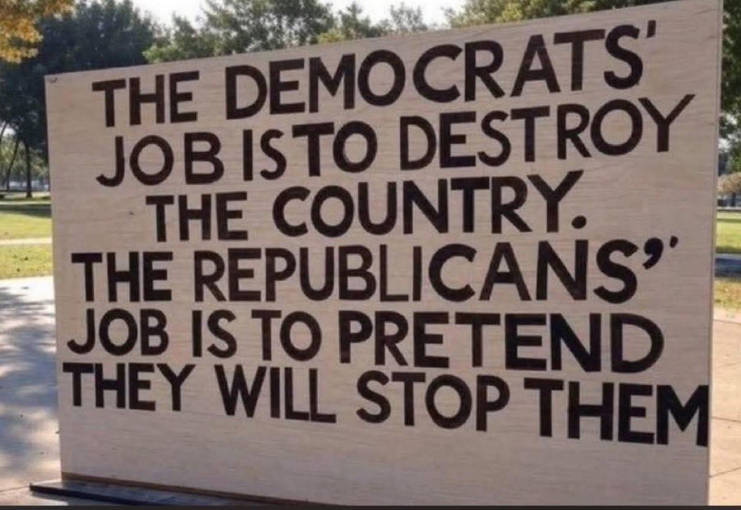 flyingfisch tweet media