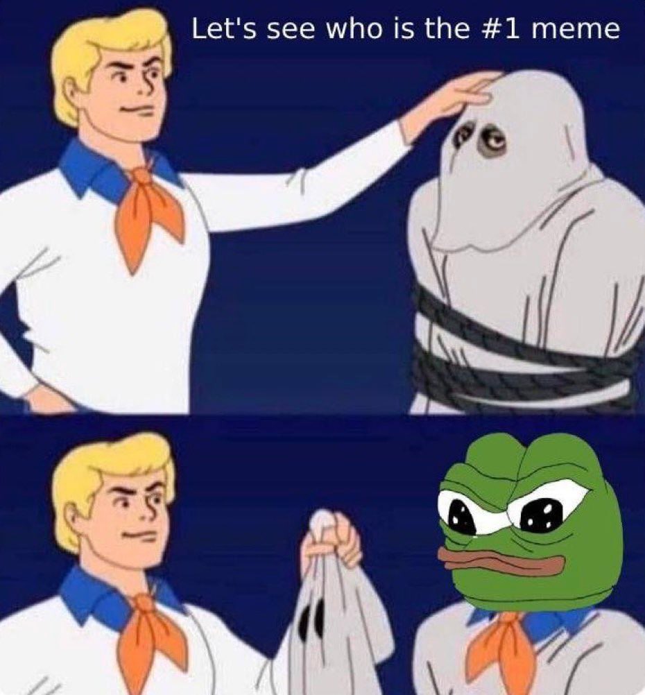 frog (33B) tweet media