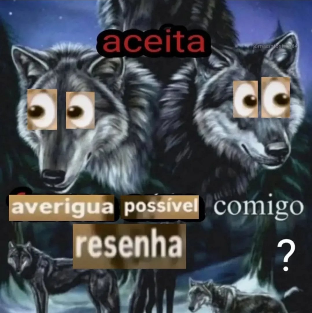 Matheus Simoni tweet media