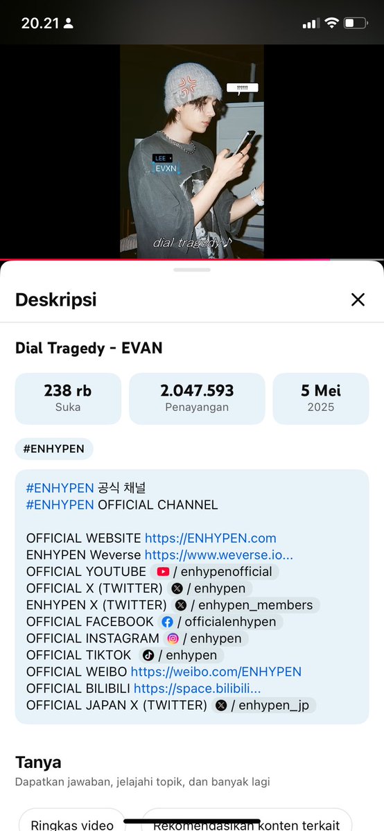 thallasophileee tweet media