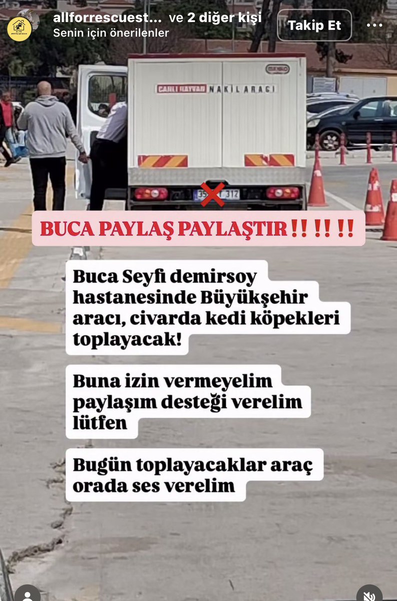 Serap Ulusoy 🦋 tweet media