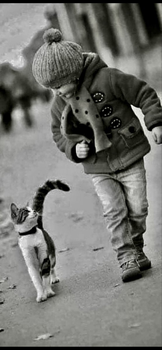 Karen Barry-Davies tweet media