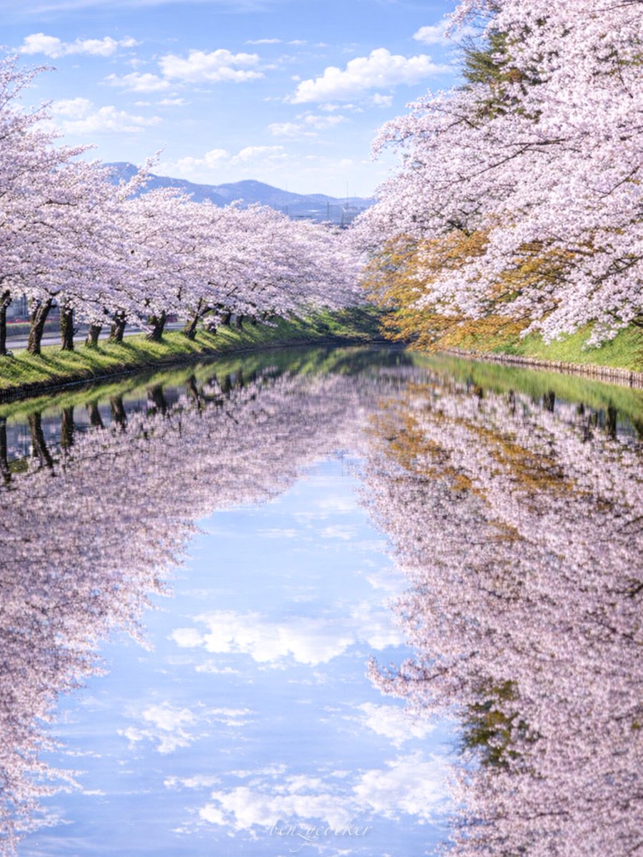 ベンジー tweet media