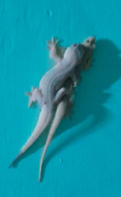 kit°•¤°▪︎♡ tweet media