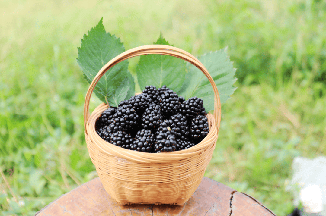 Year 6 Teacher tweet media